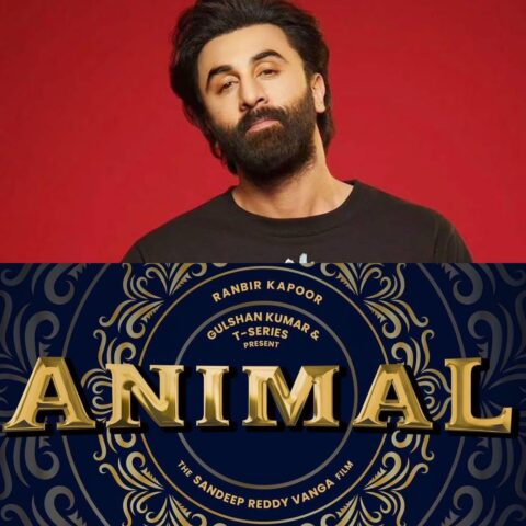 Animal