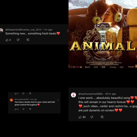 Animal