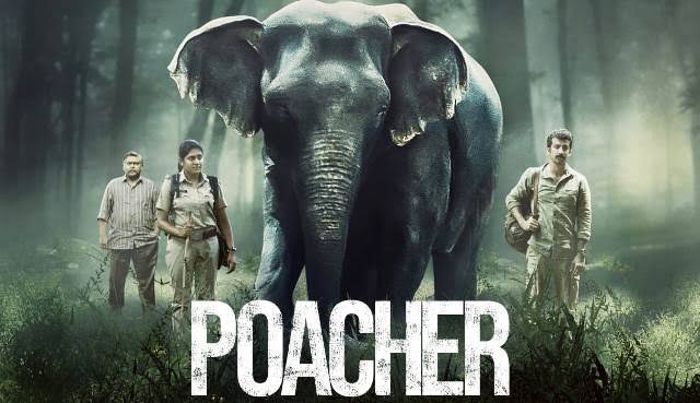 ‘Where are the Elephants?’ – Prime Video creates intrigue around Missing Elephants; Collaborates With Over 30 Brands to Build Awareness About Ivory Poaching
